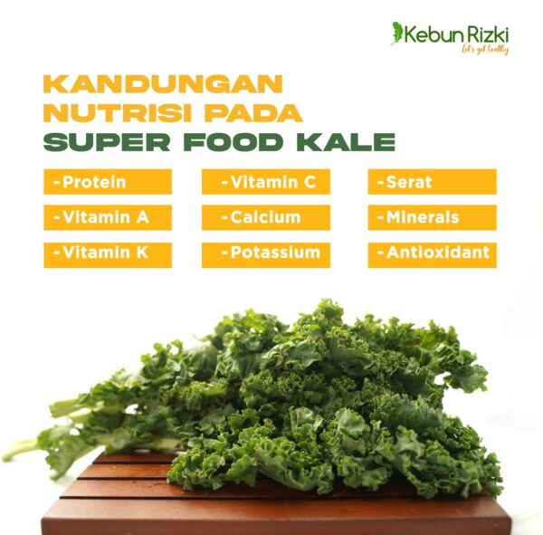 Sayur Kale Organik - Image 2